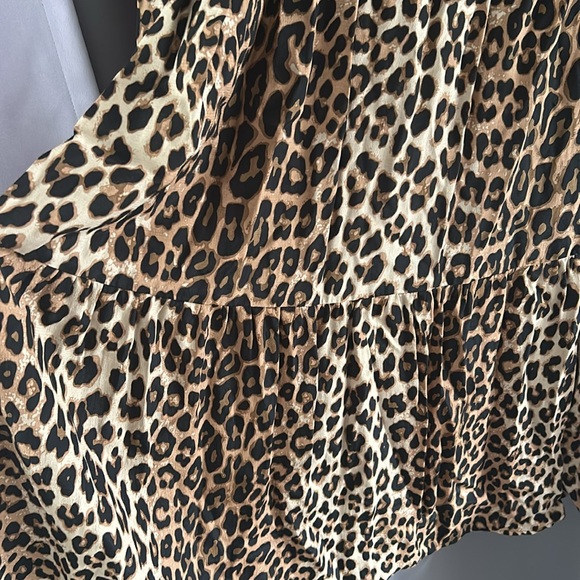 HM Long Sleeve Leopard Maxi Dress - Picture 3 of 7